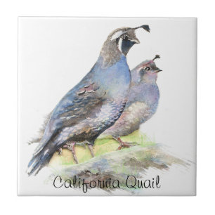 Azulejo De Cerâmica Aquarelas Personalizadas da Califórnia