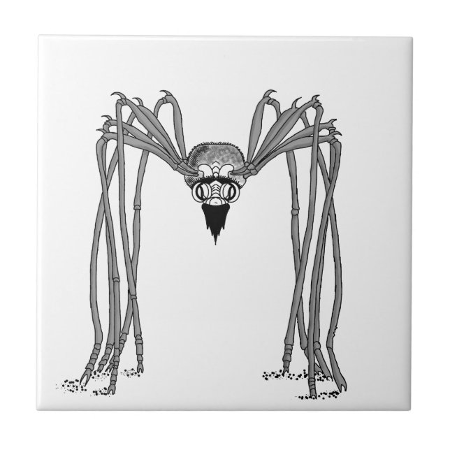 Azulejo De Cerâmica aranha. preto e branco (Frente)