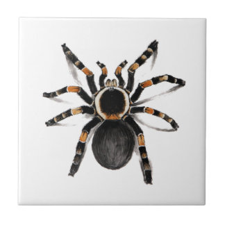 Azulejo De Cerâmica Aranha unida vermelho do Tarantula