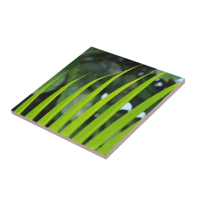 Azulejo De Cerâmica Areca Palm Frond (Lateral)