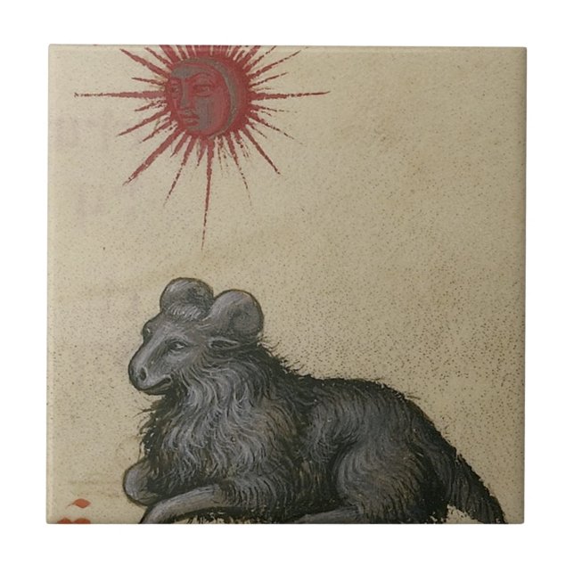 Azulejo De Cerâmica Aries (Frente)