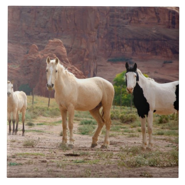Azulejo De Cerâmica Arizona, Reserva Indiana Navajo, Chinle, (Frente)