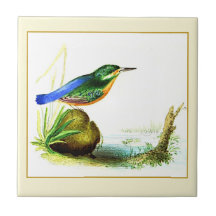 Arquivo de Liverpool de 1833 | Kingfisher Decorati