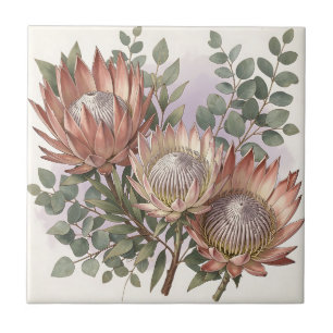 Azulejo De Cerâmica Arranjo Botânico de Eucalipto Protea Rosa