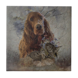 Azulejo De Cerâmica Arrumador irlandês com galo de madeira