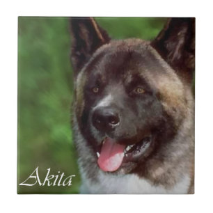 Azulejo De Cerâmica Arte Akita