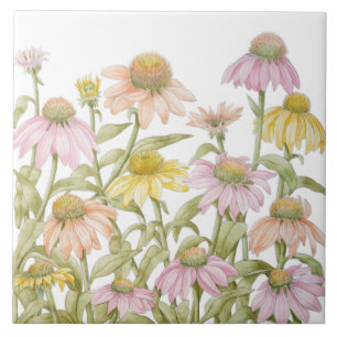 Azulejo De Cerâmica Arte Botânica Aquarela de Coneflowers