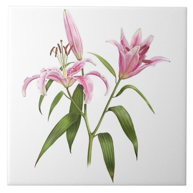 Azulejo De Cerâmica Arte Botânica Lily Asiática, Rosa, Stargazer (Frente)