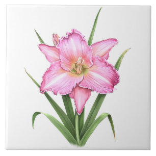 Azulejo De Cerâmica Arte Botânica Rosa Daylily Flor
