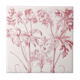 Azulejo De Cerâmica Arte Botânica Rosa Vintage