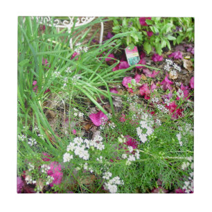 Azulejo De Cerâmica Arte da fotografia do cebolinho da coleção da er