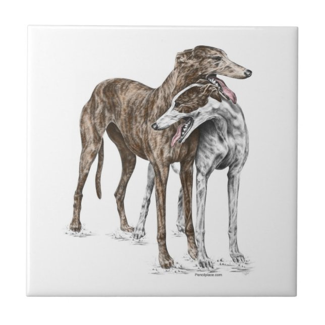 Azulejo De Cerâmica Arte de Cachorro de Dois Amigos Greyhound (Frente)