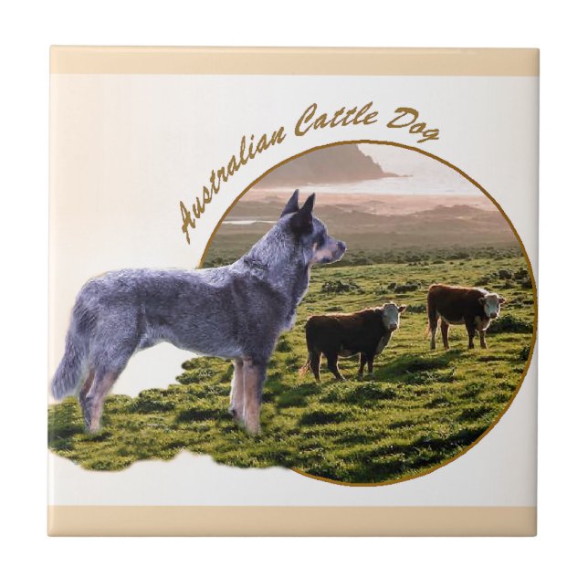 Azulejo De Cerâmica Arte de Cães Australiana (Frente)