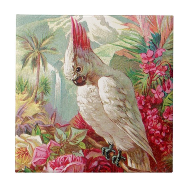 Azulejo De Cerâmica Arte de Cockatoo e Rosas (Frente)
