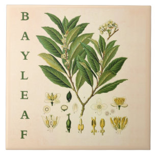 Azulejo De Cerâmica Arte de cozinha vintage: flores da planta de erva