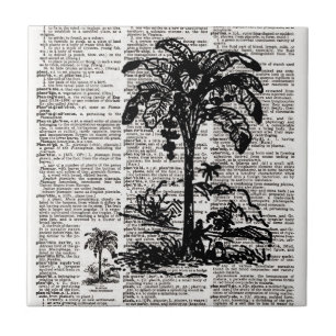 Azulejo De Cerâmica Arte de Dicionário de Árvore Palm