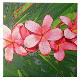 Azulejo De Cerâmica Arte de Frangipani Tropical Rosa