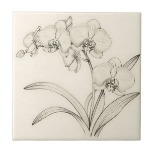 Azulejo De Cerâmica Arte de Linha de Orquídea Phalaenopsis Elegante