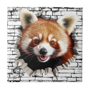 Azulejo De Cerâmica Arte de Panda Vermelho 3D em Parede Quebrada – Saf