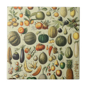 Azulejo De Cerâmica Arte de Poster de Frutas Botânicas Francesas Vinta