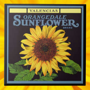 Azulejo De Cerâmica Arte de rótulo de caixa de frutas vintage Orangeda