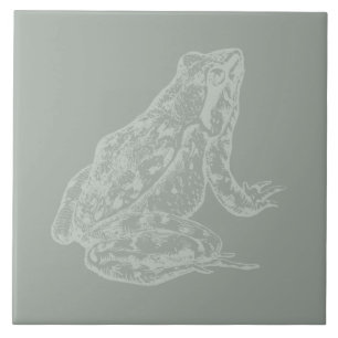 Azulejo De Cerâmica Arte de Sapo PERSONALIZADA de Sapo ilustrada