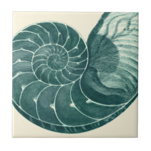 Azulejo De Cerâmica Arte de Seashell Vermelha e Verde