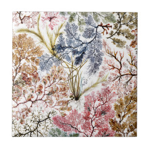 Azulejo De Cerâmica Arte de Tecido de Seda de algas