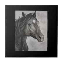 Arte Desenhada à Mão do Cavalo