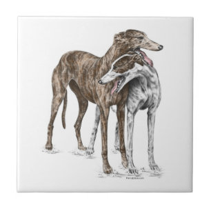 Azulejo De Cerâmica Arte do cão de dois amigos do galgo