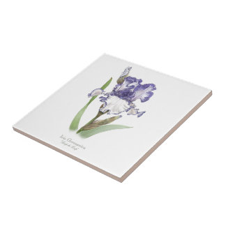 Azulejo De Cerâmica Arte do Estilo Botânico Íris Roxo Roxo