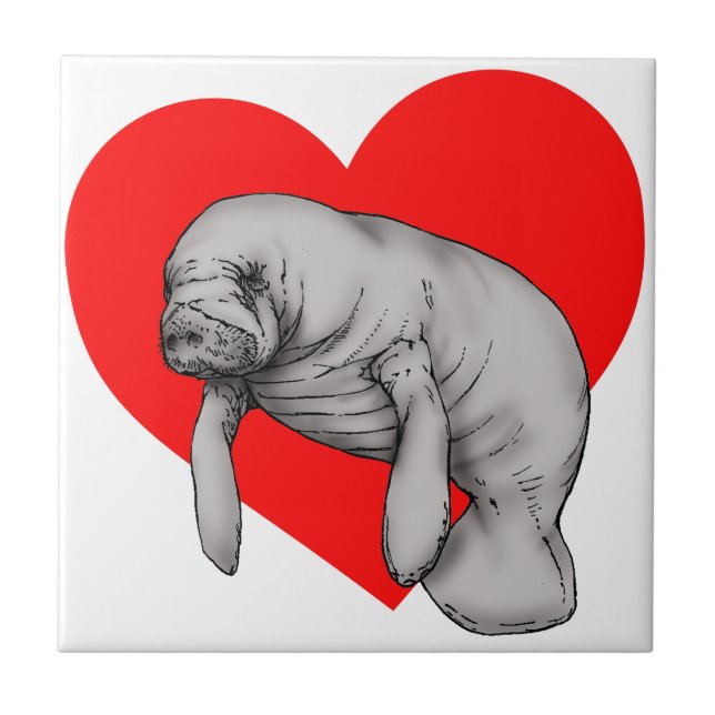 Azulejo De Cerâmica arte do peixe-boi (Frente)