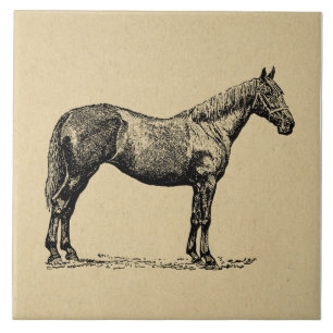Azulejo De Cerâmica Arte Equestre Vintage Ilustrada