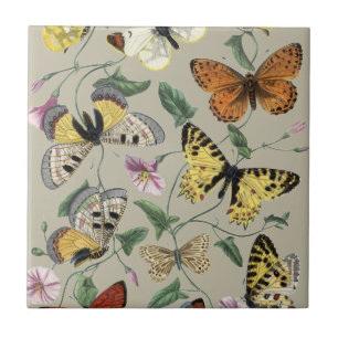 Azulejo De Cerâmica Arte Floral Botânica de Mariposa Borboleta Vintage