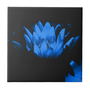 Azulejo De Cerâmica Arte Floral de Lótus Azul Brilhante