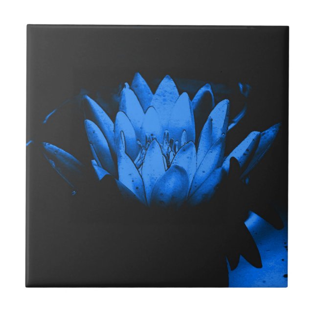 Azulejo De Cerâmica Arte Floral de Lótus Azul Brilhante (Frente)