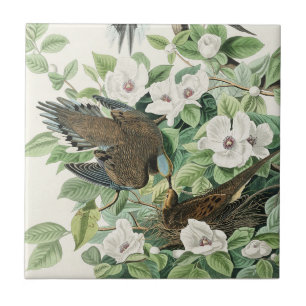 Azulejo De Cerâmica Arte Floral de Pássaro do Pombo em Luto Audubon Vi