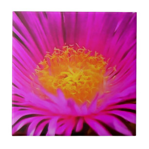 Azulejo De Cerâmica Arte Floral Magenta Rosa-Aster-Flor-Rosa