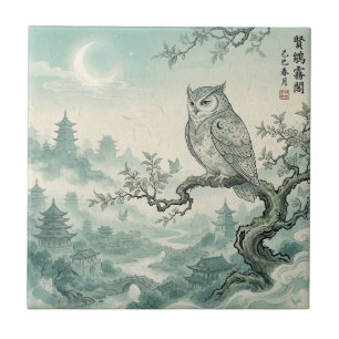 Azulejo De Cerâmica Arte Mística da Lua da Coruja Paisagem