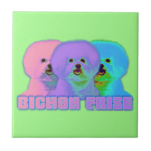 Azulejo De Cerâmica Arte Op - Bichon Frise - Cody