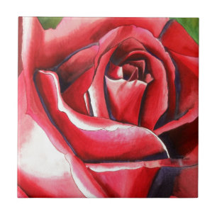 Azulejo De Cerâmica Arte original da aguarela da rosa vermelha