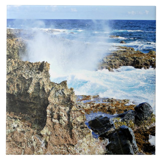 Azulejo De Cerâmica Aruba, mar de Caribes insulares (Frente)