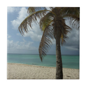 Azulejo De Cerâmica Aruban Beach I Linda cena natural