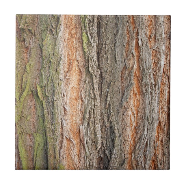 Azulejo De Cerâmica árvore antiga (Frente)