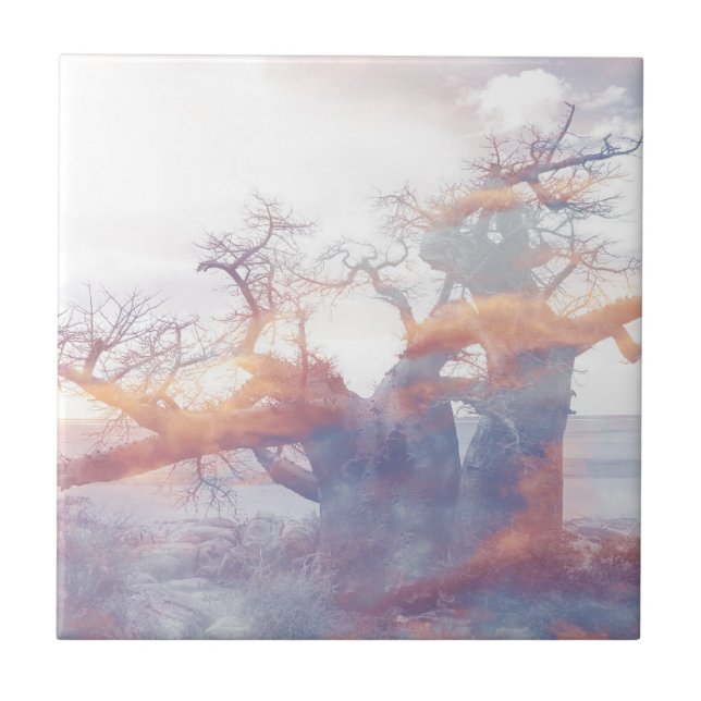 Azulejo De Cerâmica Árvore Baobab da Ilha de Botswana Kubu (Frente)