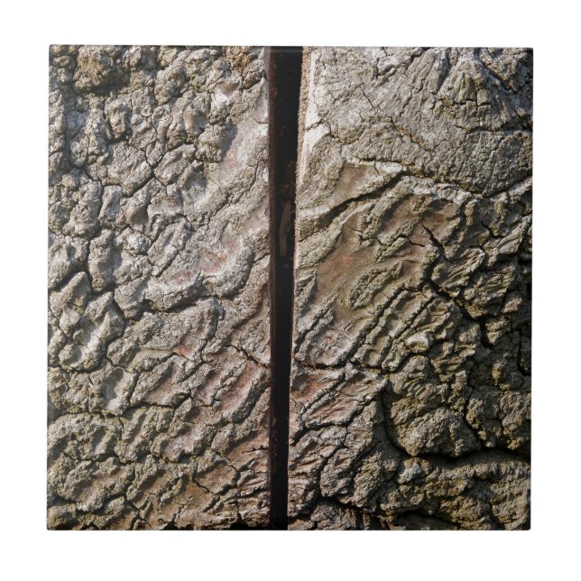 Azulejo De Cerâmica Árvore com corte central (Frente)