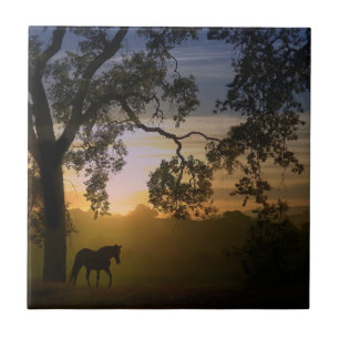 Azulejo De Cerâmica Árvore de Carvalho do Cavalo e Patrimônio no Sud