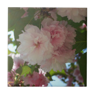 Azulejo De Cerâmica Árvore de cereja I Primavera Floral com duas flore