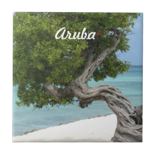 Azulejo De Cerâmica Árvore de Divi Divi em Aruba
