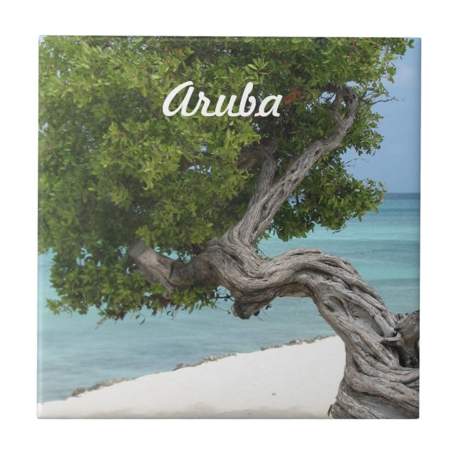Azulejo De Cerâmica Árvore de Divi Divi em Aruba (Frente)